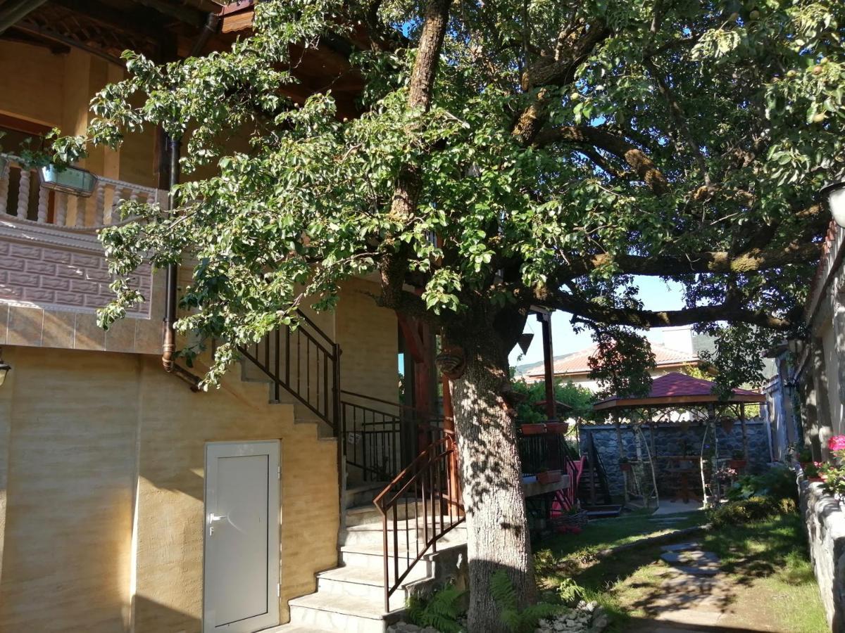 Dariya Guest House Sapareva Banya Extérieur photo