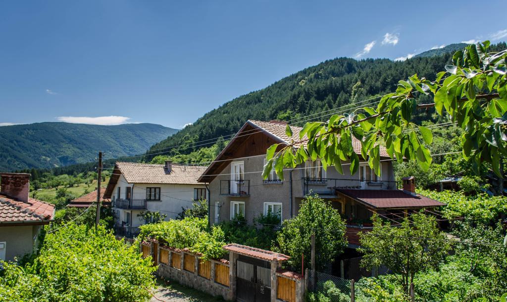 Dariya Guest House Sapareva Banya Extérieur photo