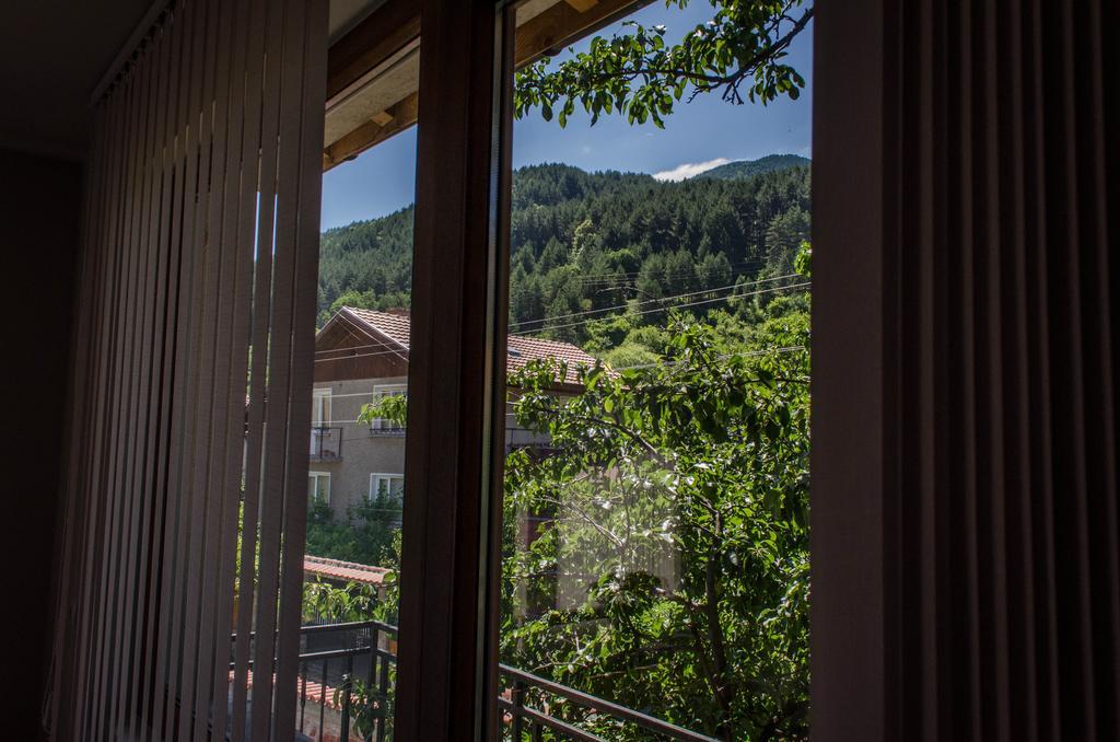 Dariya Guest House Sapareva Banya Chambre photo